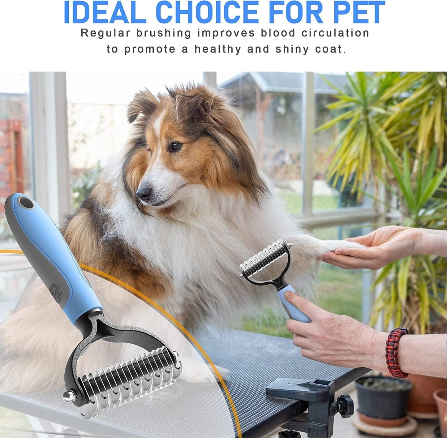 Pet Grooming Brush for Dogs & Cats