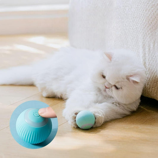 Pawspin Glowball