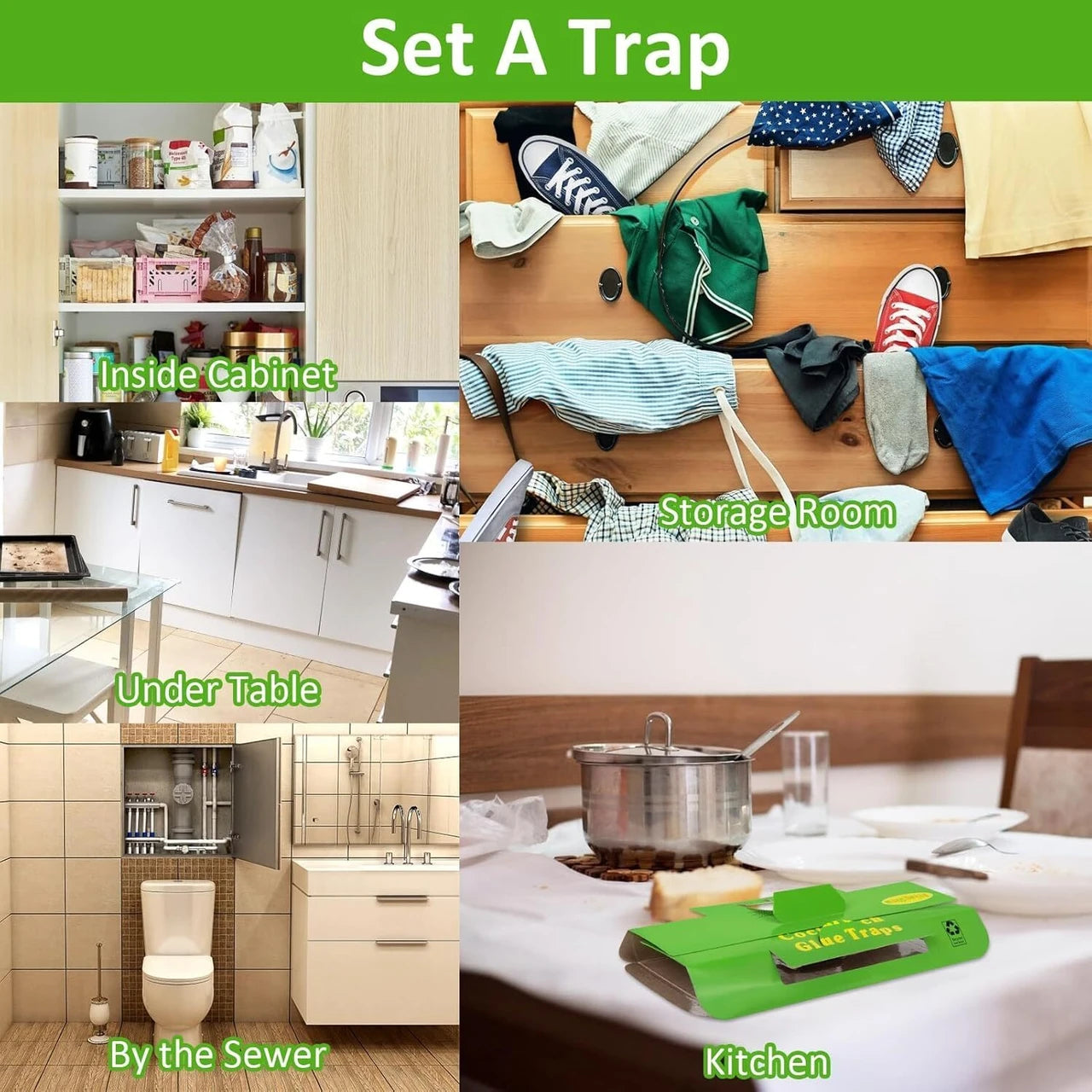 Cockroach Traps for Kitchen (Pack of 1) (10Pcs)
